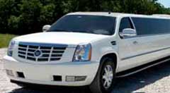 Many Limos For Rent