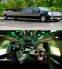 Exotic Limousine Prices Explained
